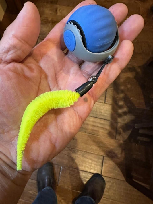 Paw Buddy Motion toy 2.0