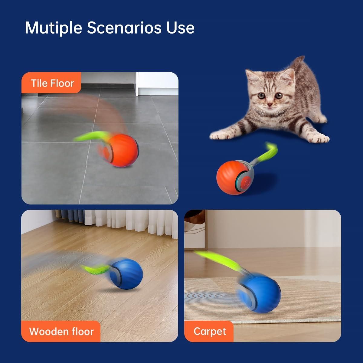 Paw Buddy Motion toy 2.0