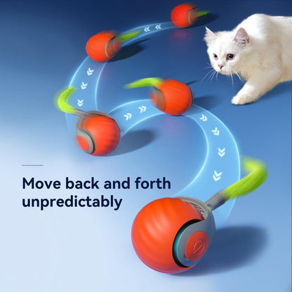 Paw Buddy Motion toy 2.0