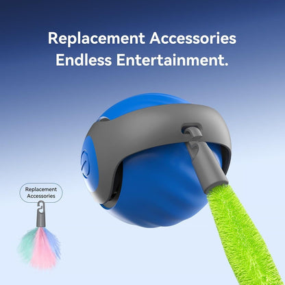 Paw Buddy Motion toy 2.0