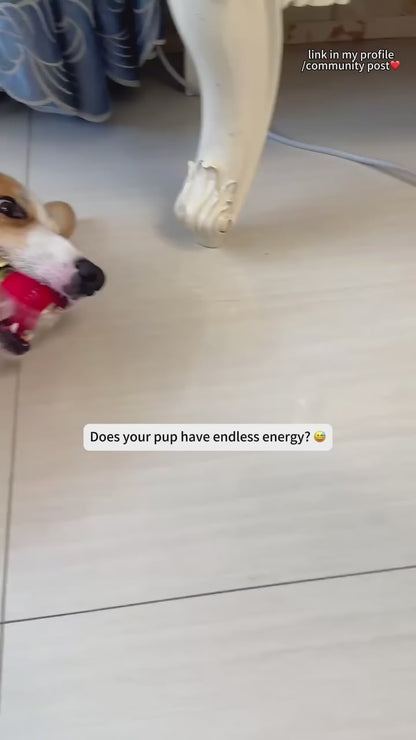 Paw Buddy Motion toy 2.0